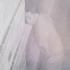 Astoria Peeping Tom Caught, Victim Told To Get An Order Of Protection
